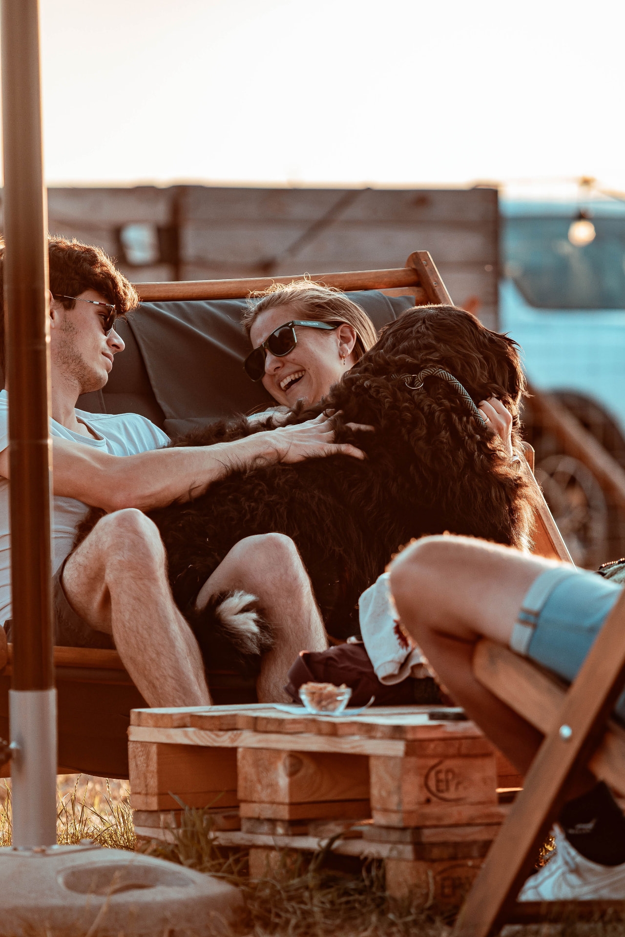 Vrienden in ligstoelen met hun hond bij BARk in het avondlicht