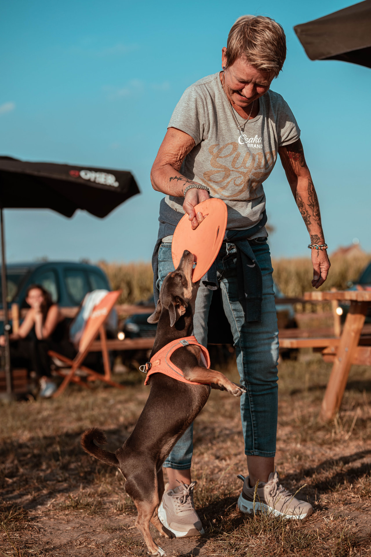 Een hond springt naar een frisbee in de losloopweide van BARk