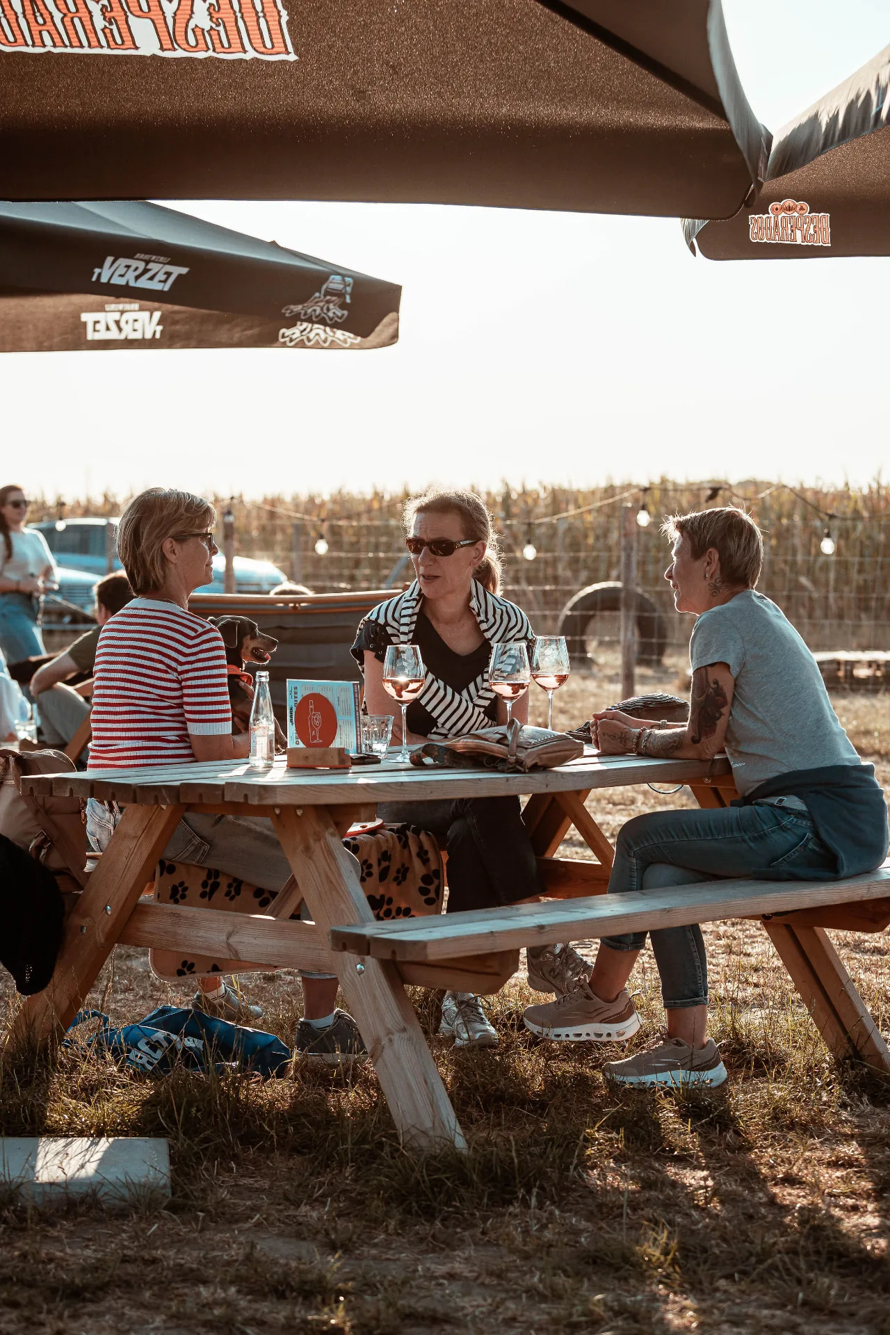 Vrienden praten bij aan een picknicktafel bij BARk