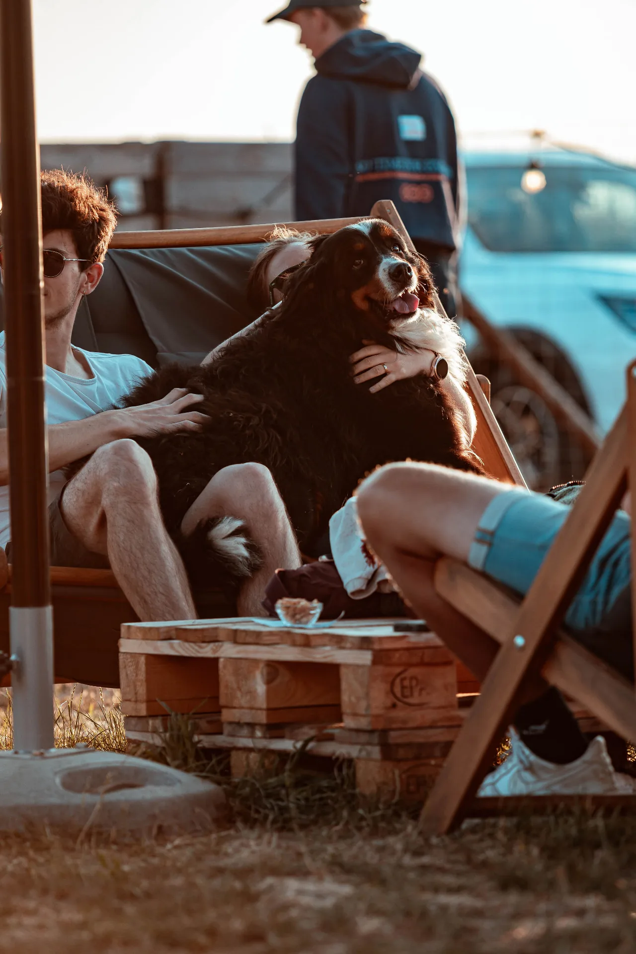 Een grote hond ontspant bij zijn baasjes in een ligstoel