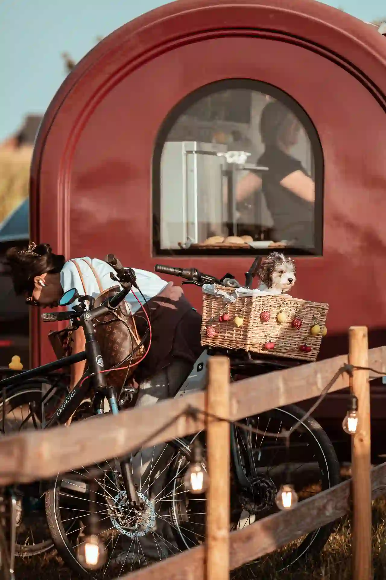 Een hond in een fietsmand wacht geduldig bij de rode barcontainer